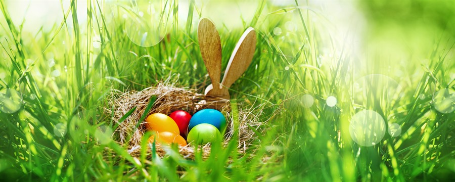 Ein Nest gefüllt mit bunten Eiern liegt im hohen Gras.
